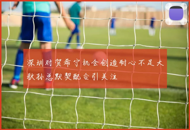 深圳对贺希宁机会创造耐心不足大秋孙总默契配合引关注